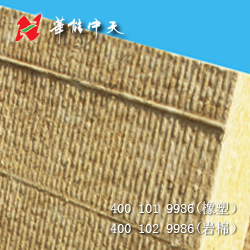 华能中天