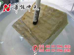华能中天