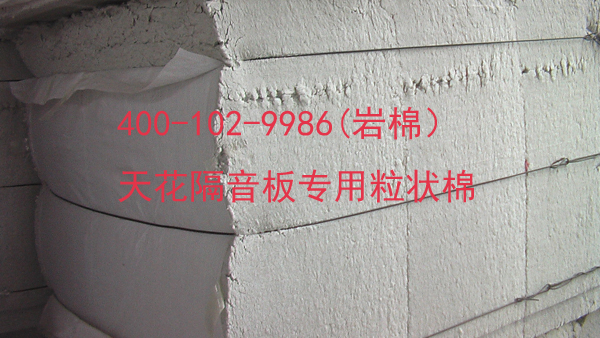 华能中天
