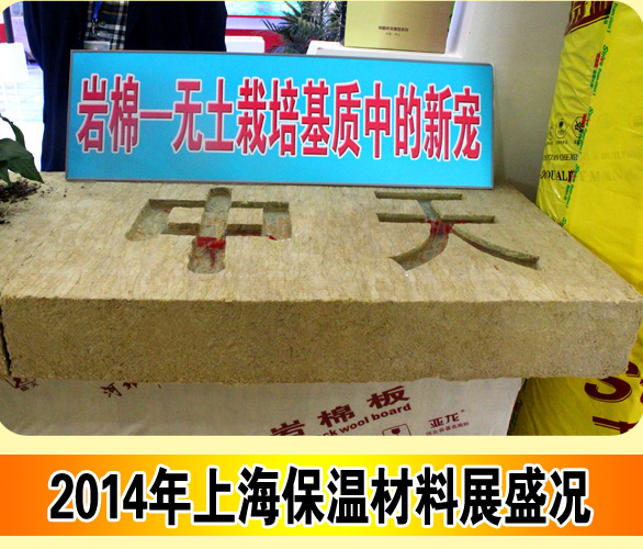 展会亮点