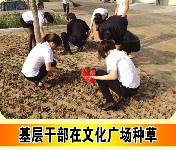 华能家文化