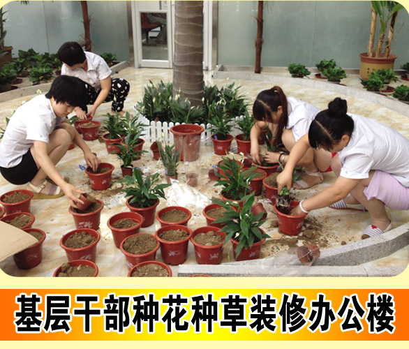 华能家文化